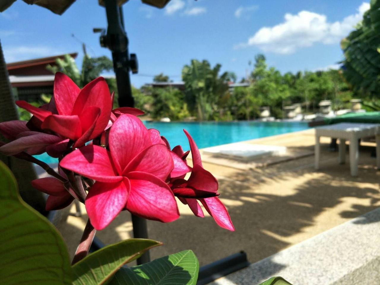 Arthaya Villas - Sha Extra Plus Koh Lanta Bagian luar foto